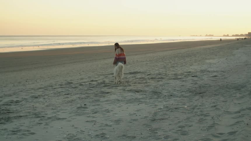 A female walking a dog on a beach