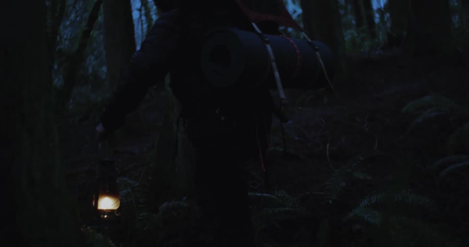 A person hiking through a forest with a bag on their back carries a lantern as they walk