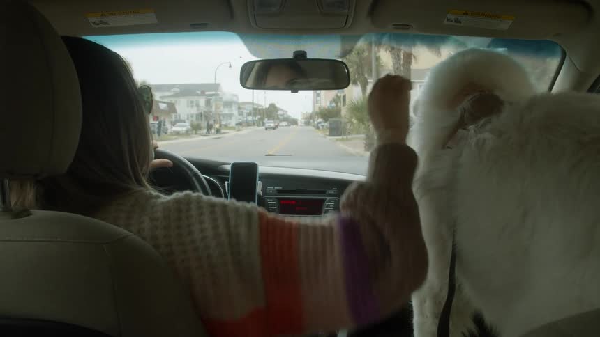 A woman drives her car down a towns main street while petting her dog