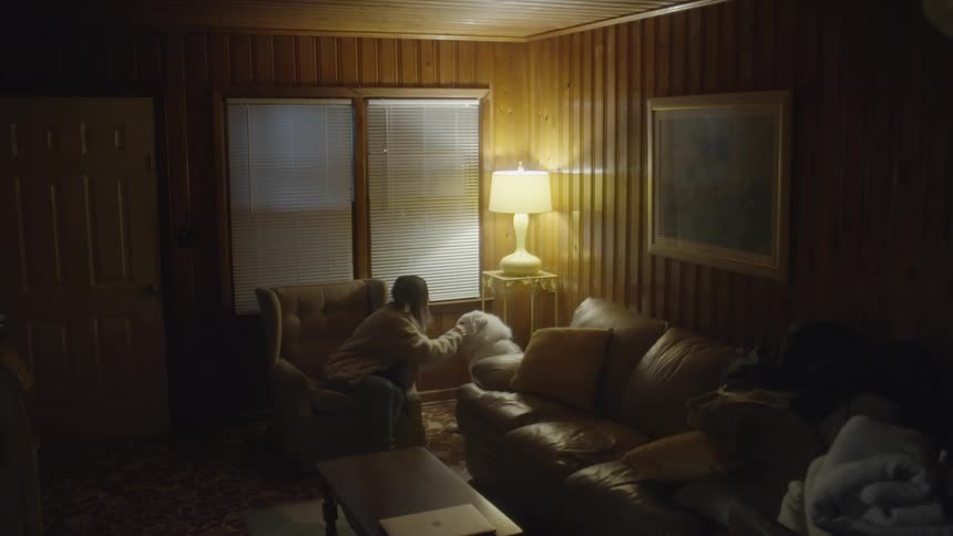 Young woman sitting on a chair in the living room pets a dog