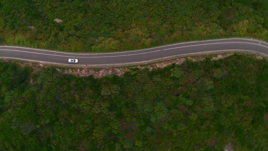 Aerial view of a white car traveling on a road surrounded by trees
