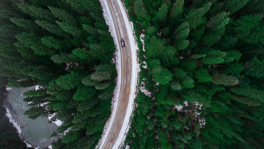 Aerial view of a car driving on a road through the pine tree forest