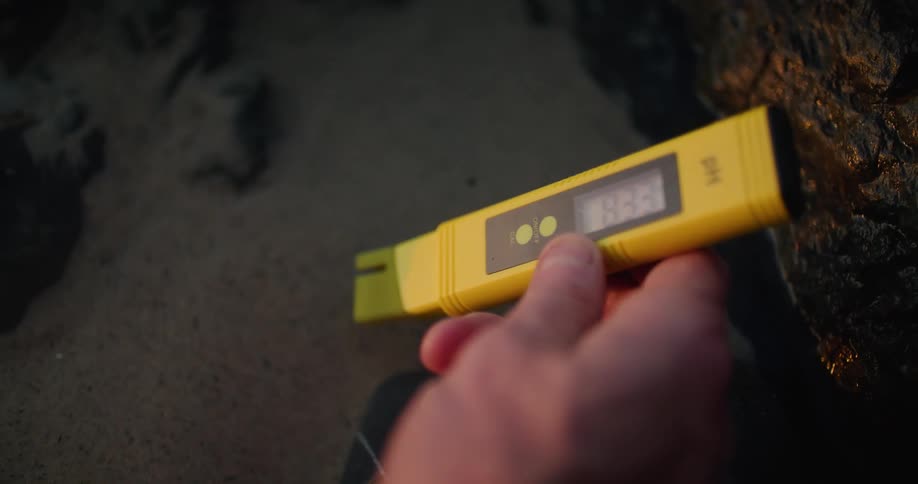 Person takes reading with yellow sensor with led display of water in shore pool