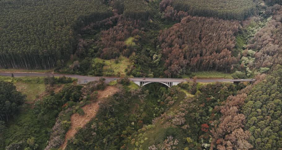 An aerial view of a vehicles traveling on a highway through a rural woodland area during the day in the fall season
