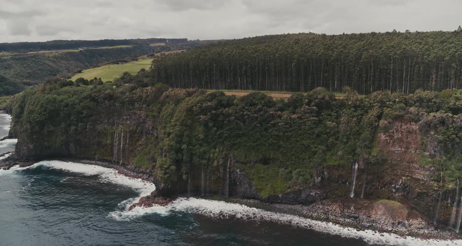 Waves lap at the shore beneath cliffs covered by trees