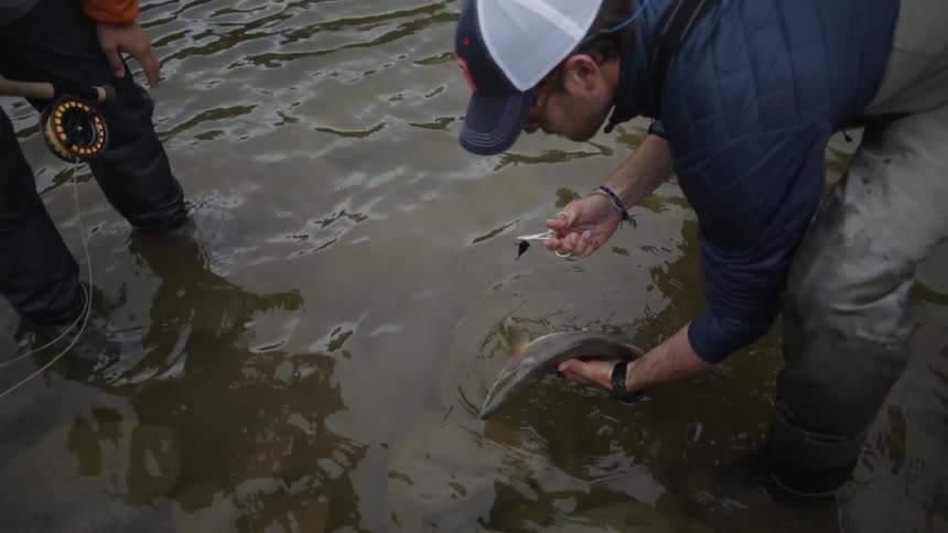 A man pulls a hook from a fishes mouth