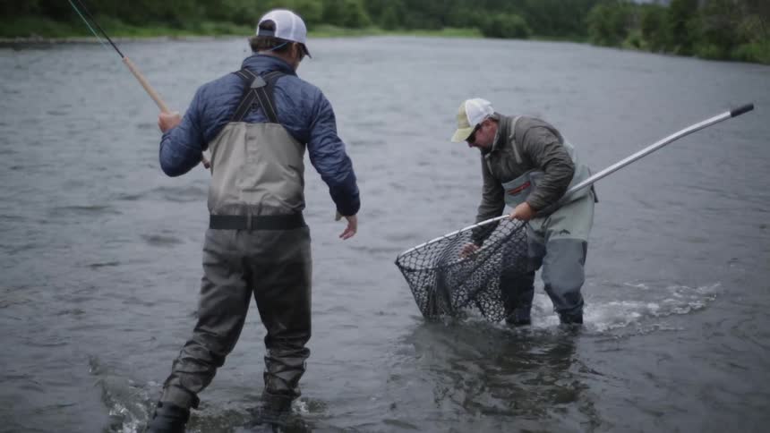 Two men pulling fish from a net
