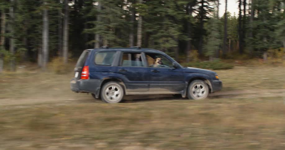 A vehicle driving down a dirt road in a forest