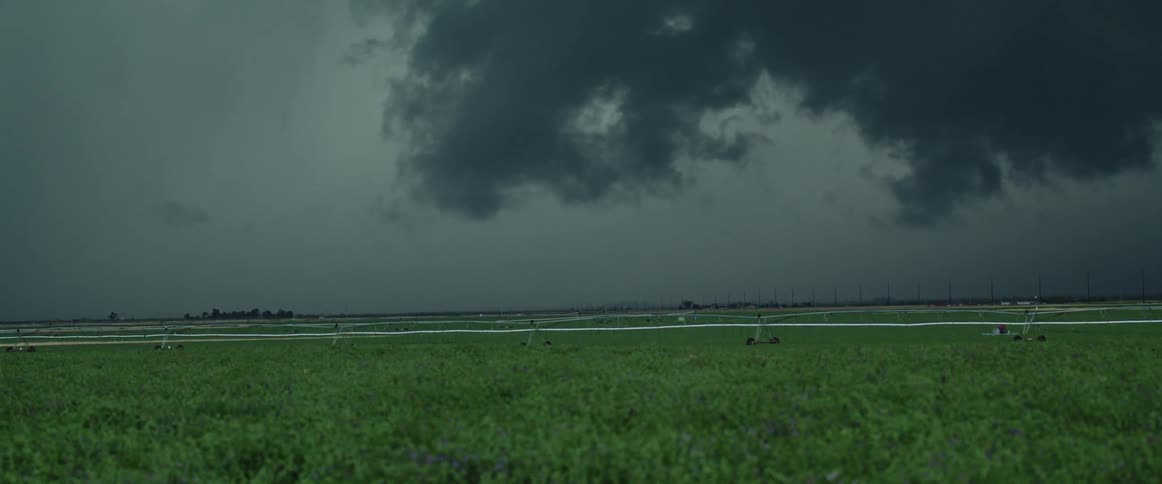Storm clouds move across the field