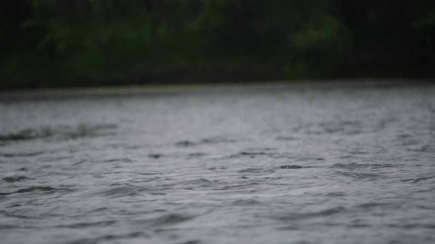 Water level view of a moving stream
