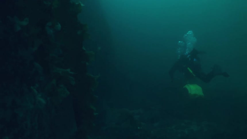 A diver is swimming and exploring wreckage at the bottom of the ocean during the day