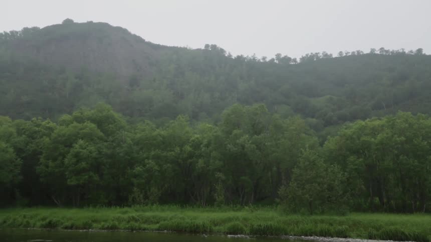 A forest of trees and a hill are seen from a river