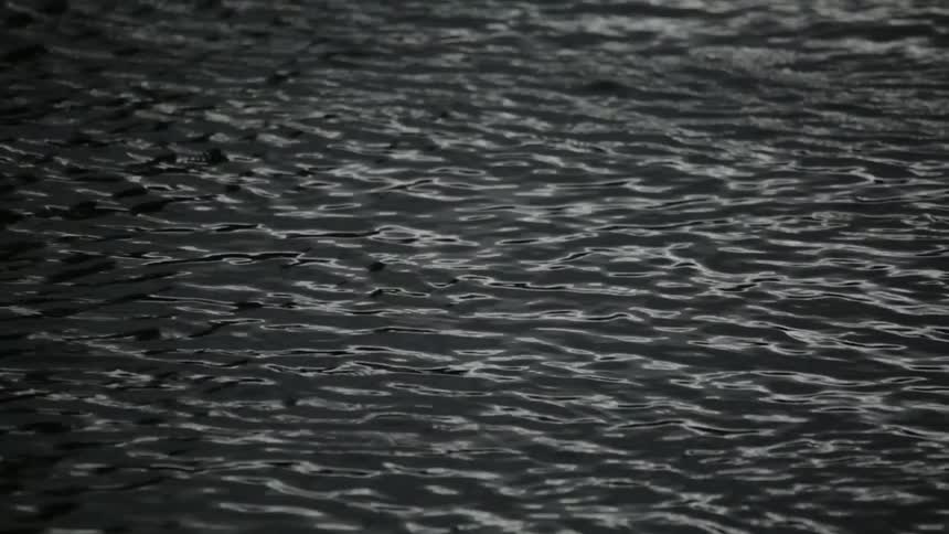 Stream water flows and ripples
