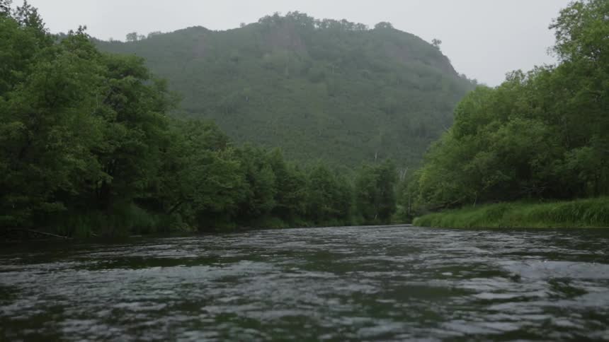 Water rushes in a stream surrounded by green