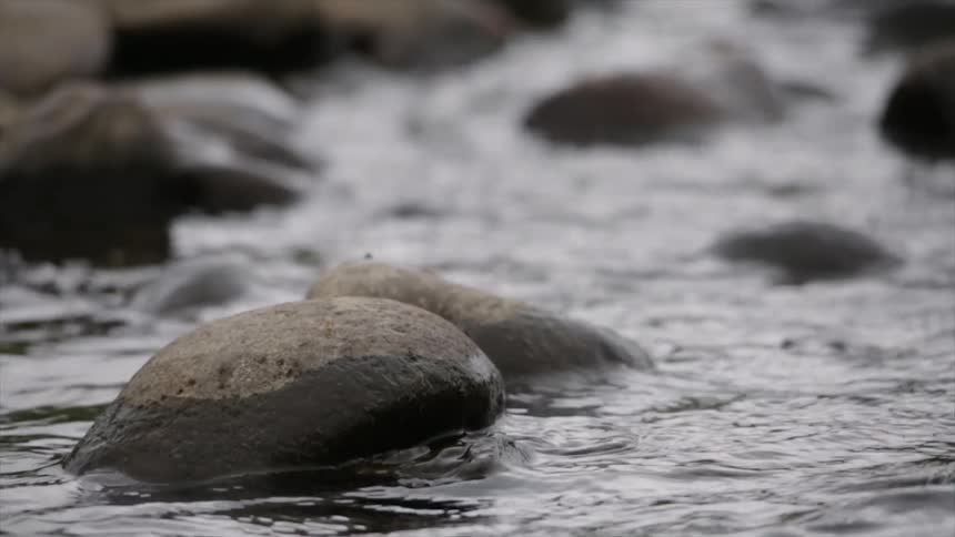 A rocky brook during the day
