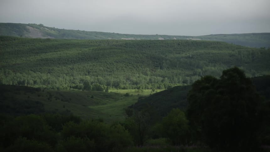An overcast sky hangs over hills and pine forest