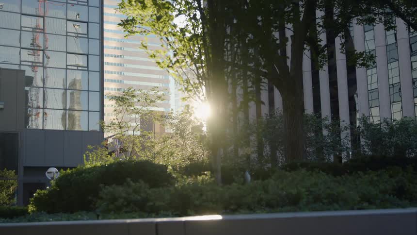 The sun shines through high rise office buildings seen from public park