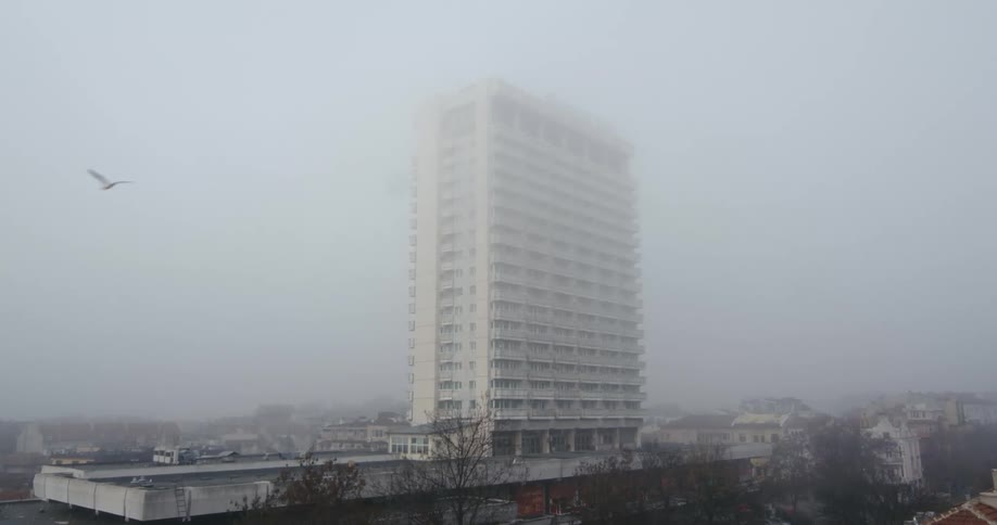 A bird flies across a foggy sky where a single apartment building stands above neighborhood rooftops