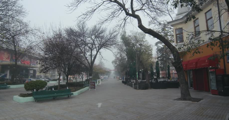 Buildings and trees in a downtown area of a small town on a foggy day