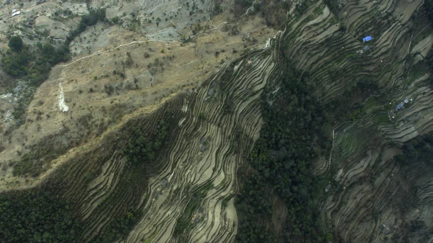 Sandy landscape dotted with vegetation