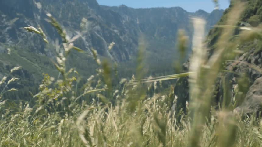 Fast wind is blowing grass on a mountain