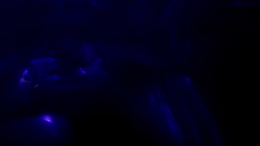Red and blue swirls move in random patterns against a black background
