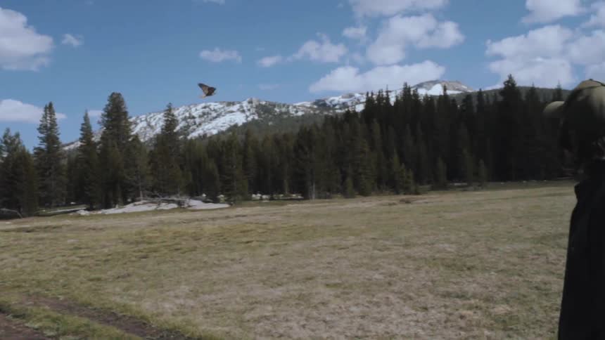Yosemite