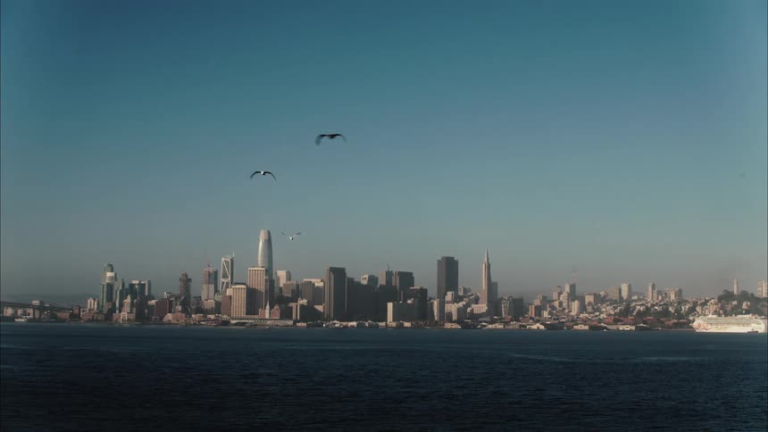 A view of a large city