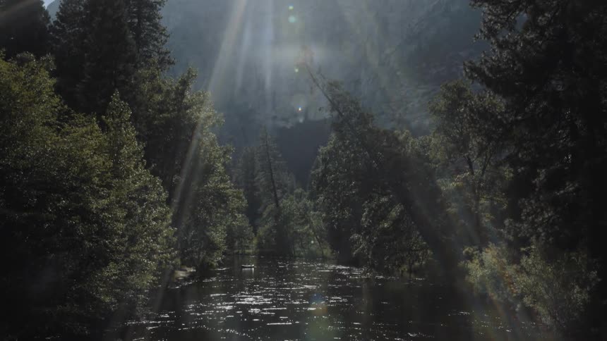 Sunlight streams through a tree canopy onto a river