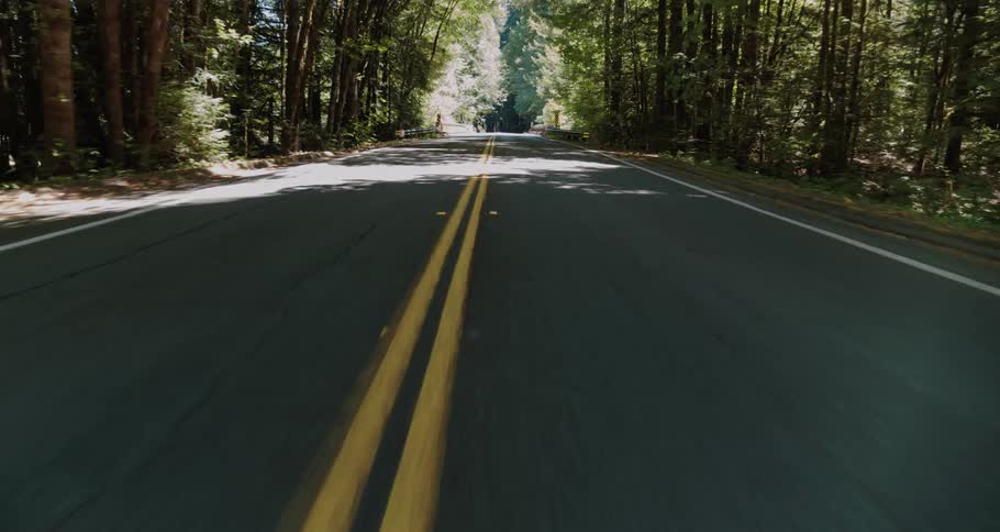 Vehicle drives on highway through forest with tall trees