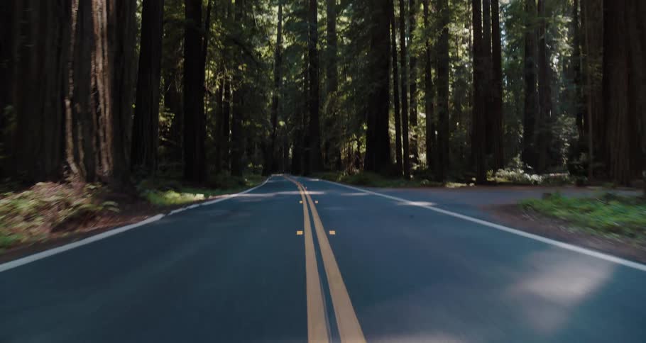 A view of a car driving down a road through a forest
