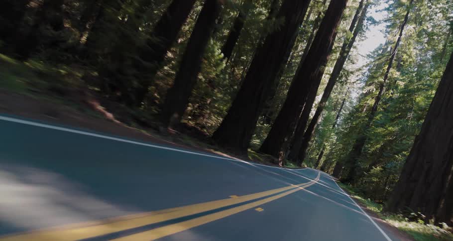 Traveling on a road through a forest as the sun shines through the trees