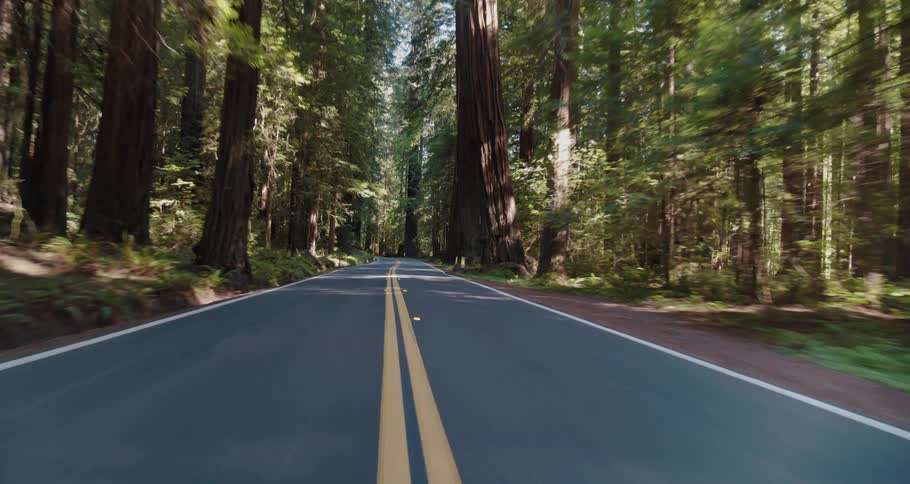 A road surrounded by trees and plants with the sky and clouds in the background