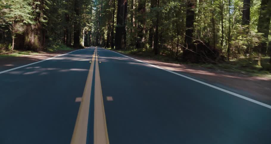 Driving through a forest