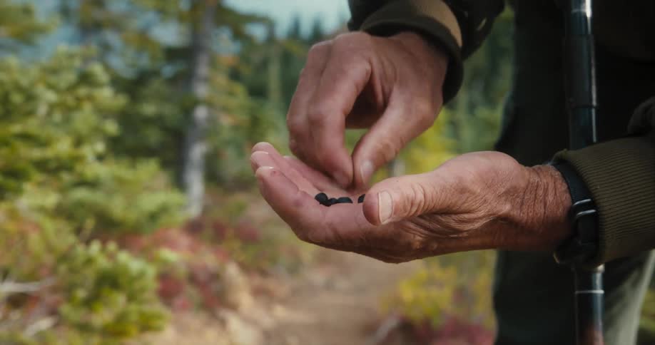 A man picks through and throws away seeds in his hand while standing in a garden