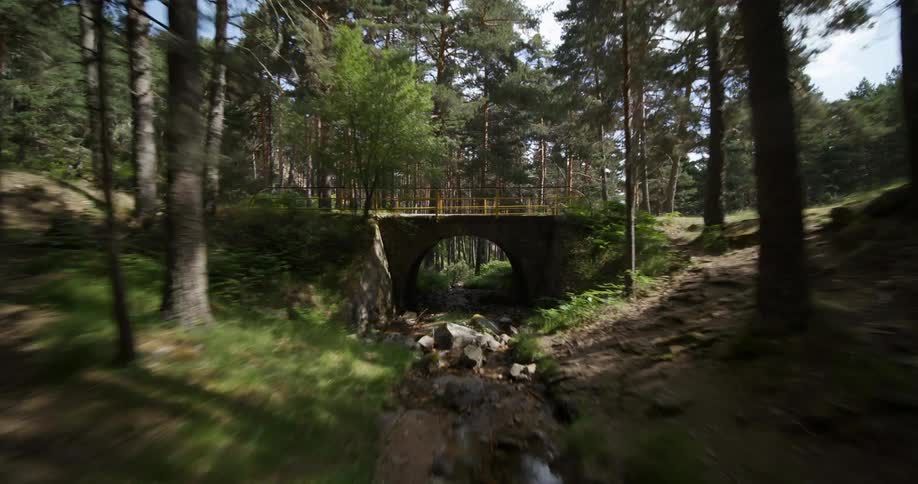Stream flows between slopes and under bridge in conifer forest