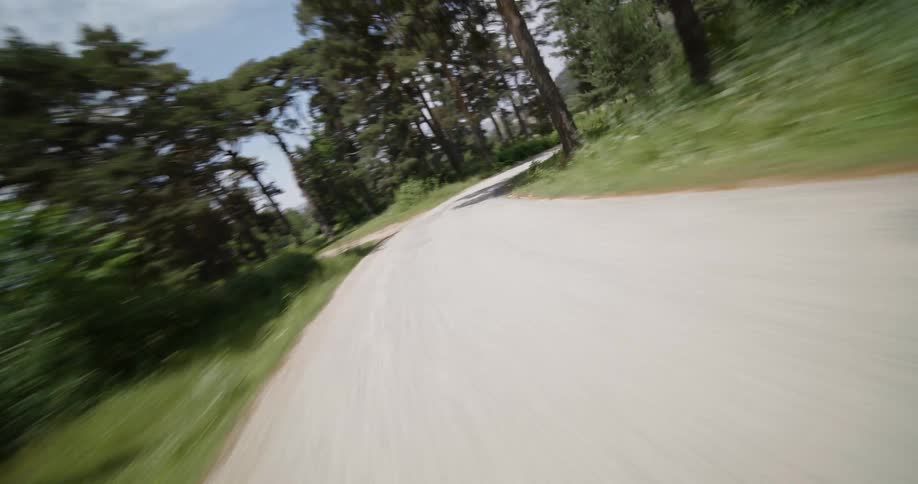 Driving at full speed down a rural road through the forest at daytime