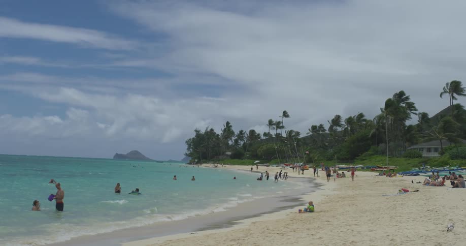 People are in the water and sand on a beach