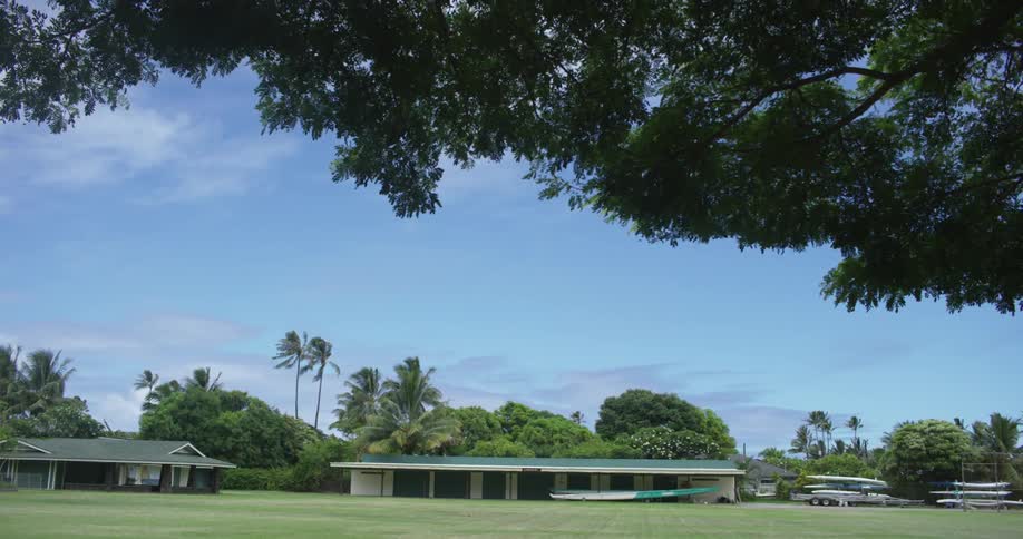 Homes sit in the distance on this grass field