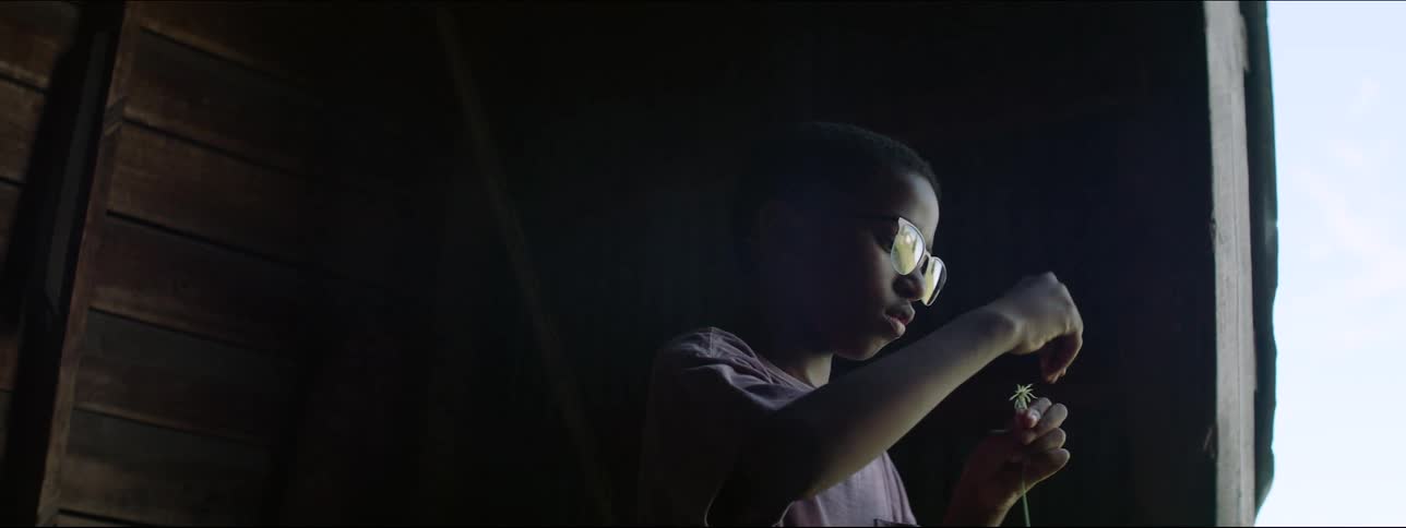 A boy blows a dandelion flower which blows in the wind