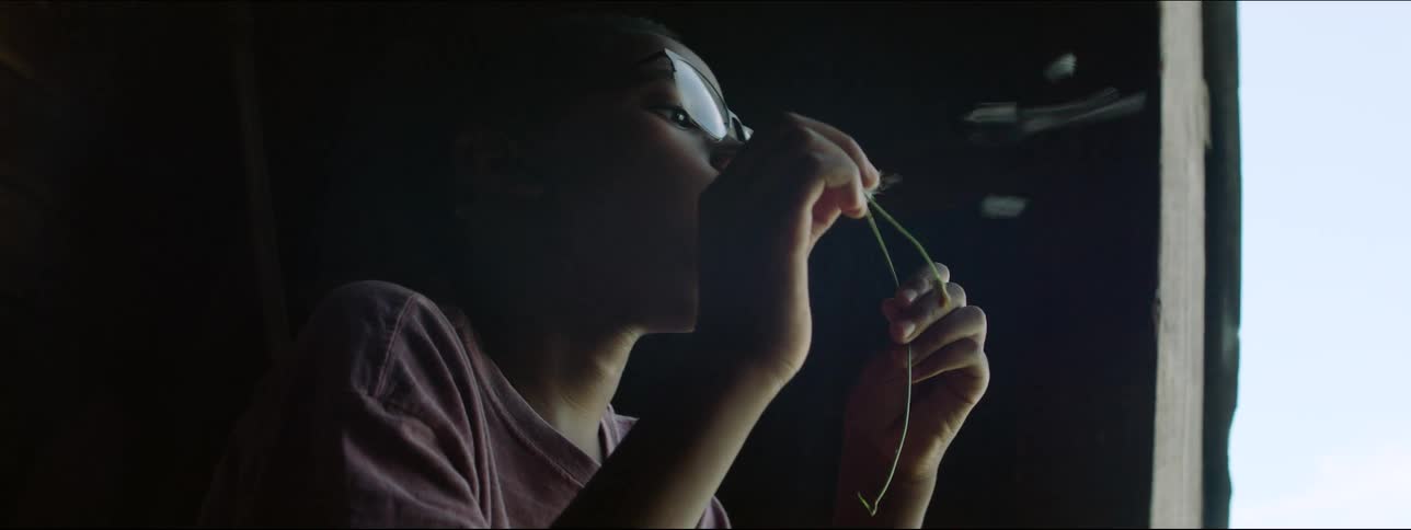 A boy blows the petals off a dandelion during the day