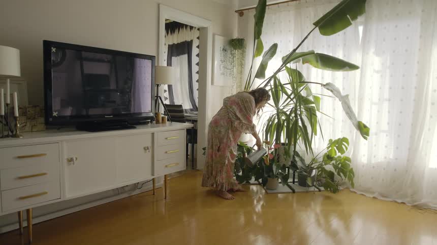 A pregnant woman in a house robe is watering large plants in her bedroom during the day