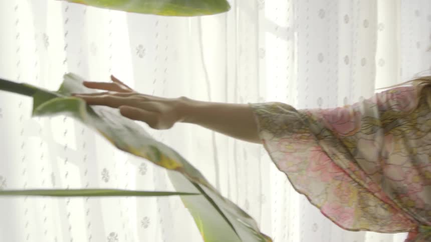 A pregnant woman uses her hand to check the leaf of a large house plant for dust