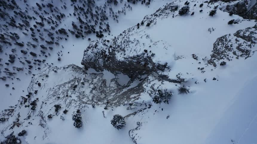 A mountain range with trees covered in snow and ice