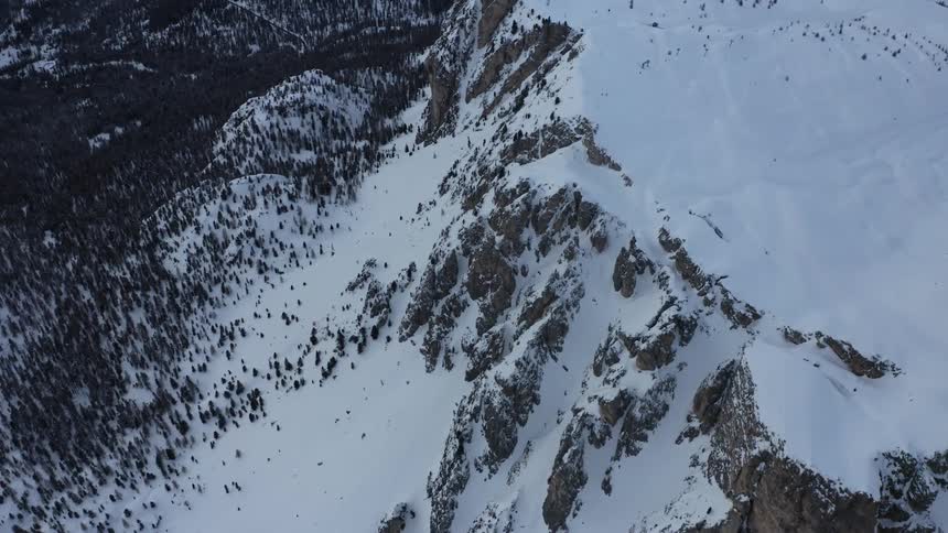 Aerial view of snow covered mountains and many trees below