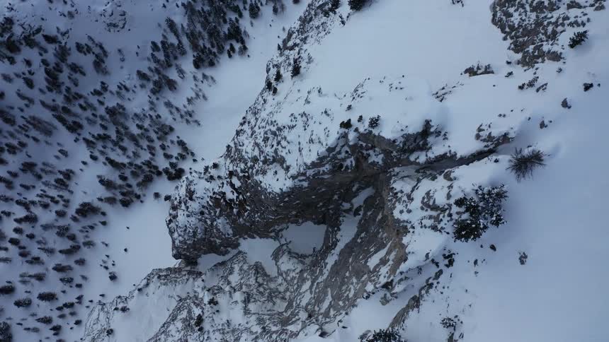 A mountain range with trees covered in snow and ice