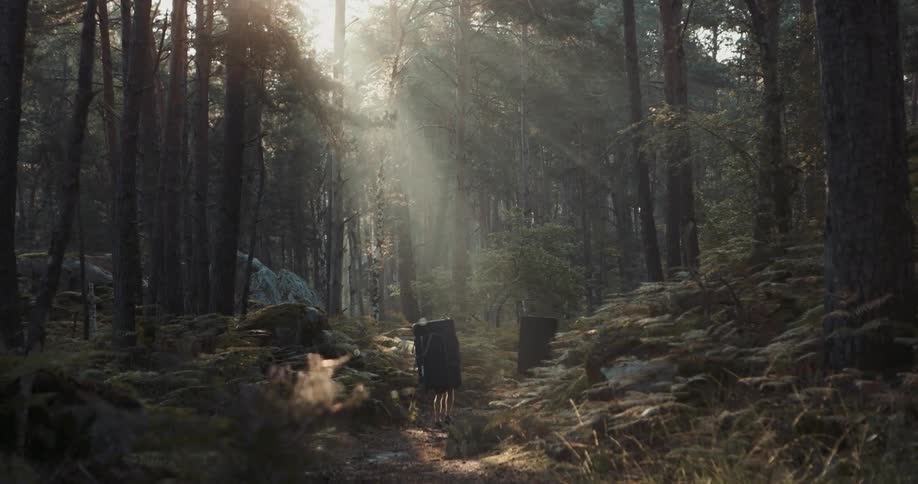 Two climbers with boulder pads walk through a forest