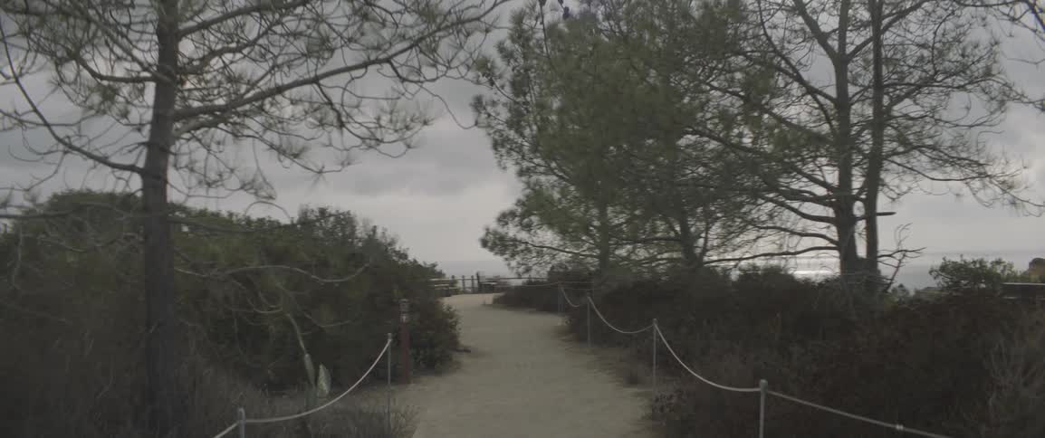 A path on a cloudy day