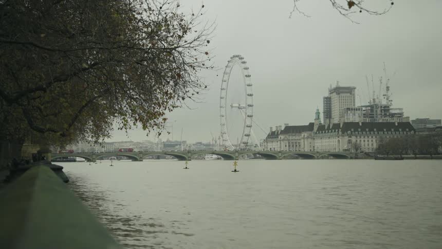 A ferris wheel sits across the river from a park