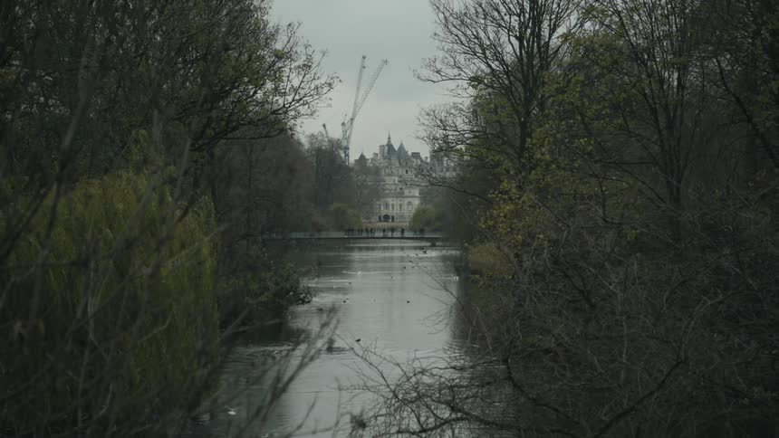 A view of a river with trees outside of it